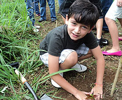 Child planting trees