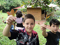 Kids showing a tree before planting