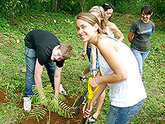Teen students planting a tree