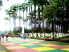 Parque Vargas Today